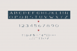 Volki Font