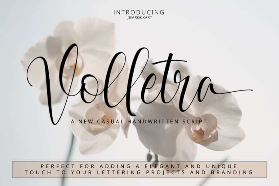 Volletra Script Font Volletra Script Font