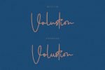 Volustion Font