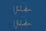 Volustion Font