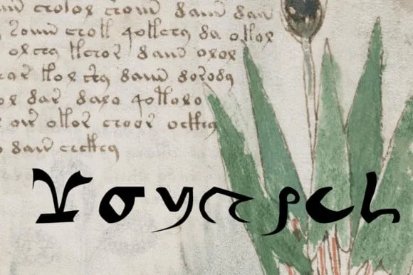 Voynich Font