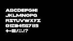 WILD WORLD Bold 2.0 Font