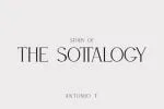 WILLSON - Clean Serif Font