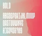 WR13 Font