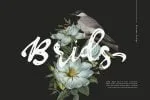 Walfire Font