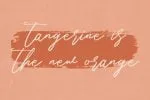 Wally Smith Font