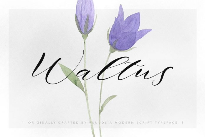 Waltus Font