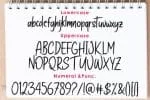 Wanthy Font