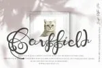 Warllisa Font