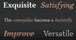 Warm Serif Font