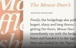 Warm Serif Font