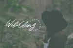Warmth Casual Script