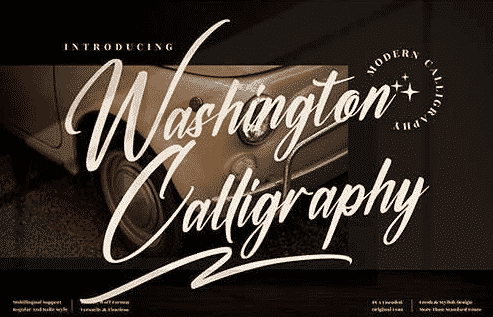 Washington Calligraphy Font LS