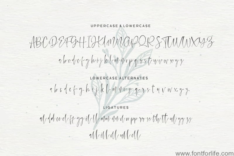 Watercoral Natural Script Font