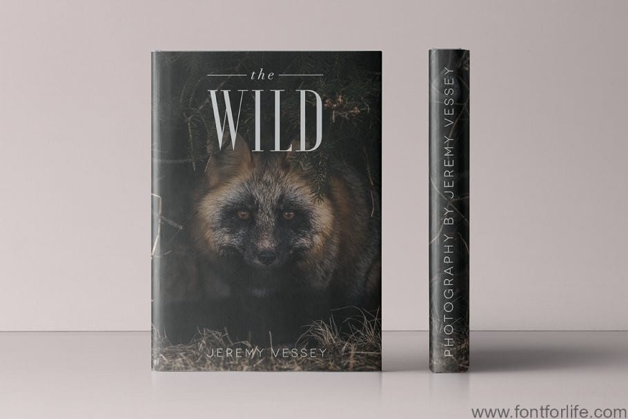 Waves Ultra Condensed Serif Font