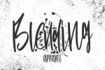 Wayfaring Font