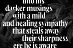 Wayfinder CF Font Family