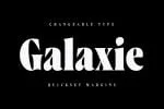Wayfinder CF Font Family