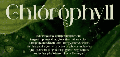 Weird Melone Font