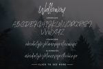 Wellaway Bonus Font