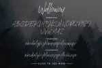 Wellaway Bonus Font