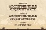 West Yard Font