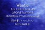 Westic Font
