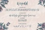 Weynard Font