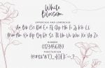 White Blossom Font