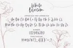 White Blossom Font