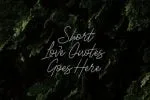 White Rocket Font
