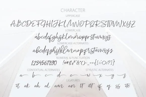 Whitecase Font