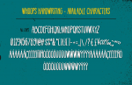 Whoops Font
