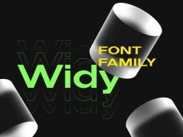 Widy Font Family
