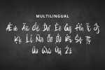Wild & Brave Font