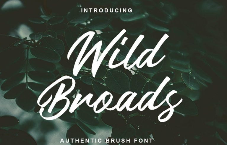 Wild Broads Font Free Download