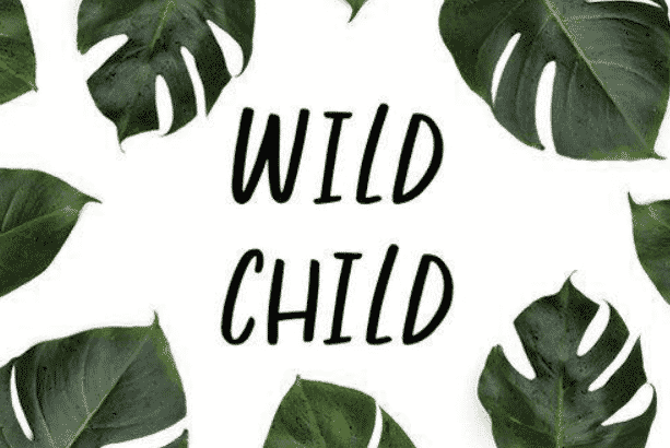 Wild Child – Fun Handwritten Font Wild Child – Fun Handwritten Font
