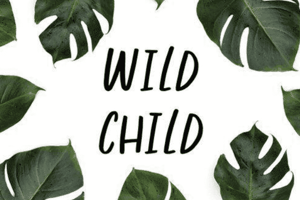 Wild Child – Fun Handwritten Font