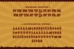 Wild Justice Font