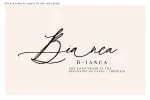 Wild Magnolia Font