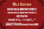 Wild Ventura Vintage Font