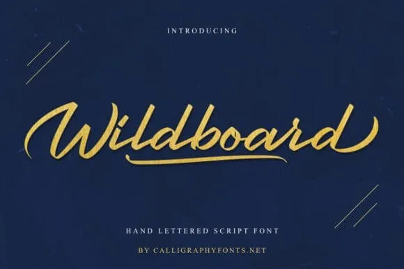 Wildboard Font
