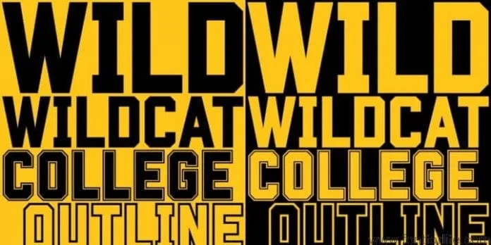 Wildcat Font