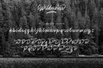 Wilderness Scipt MS