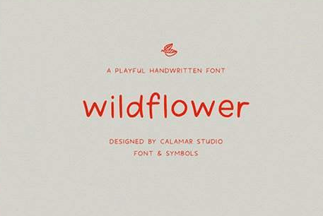 Wildflower Handwritten Font