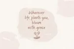 Wildstripe Font