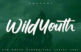 Wildyouth Font