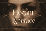 Wilkista Font