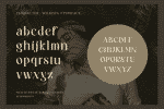 Wilkista Font