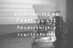 Willensia Font